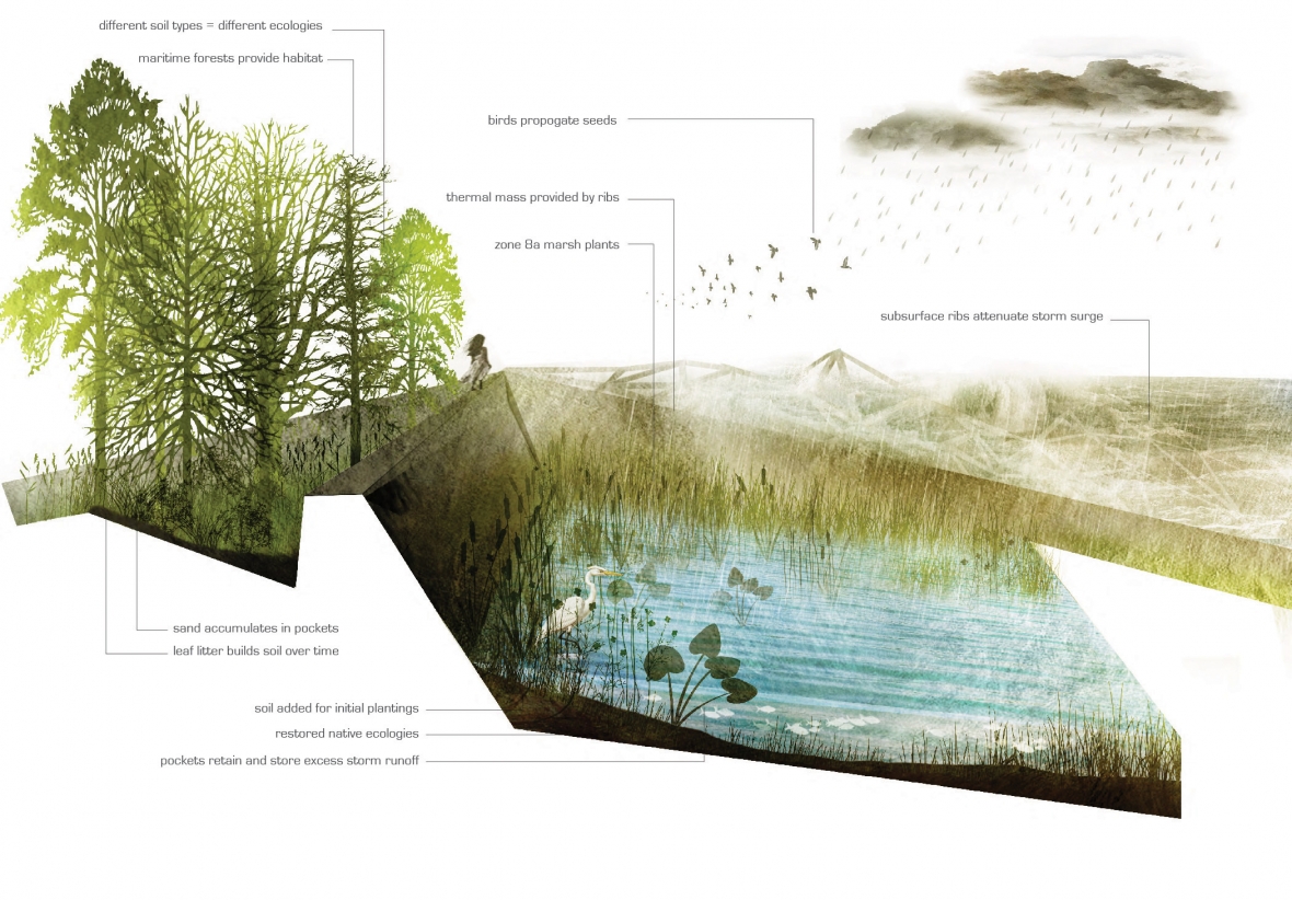 Landscape Architecture | PennDesign