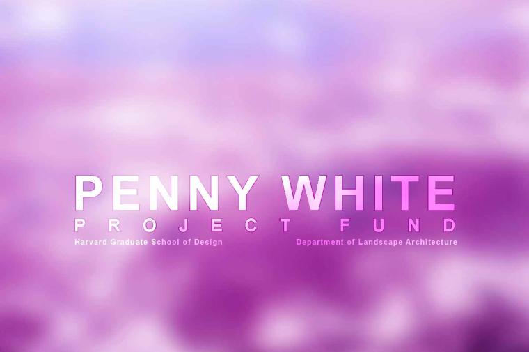 Penny White Project Fund
