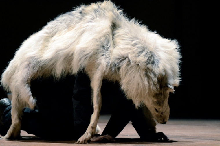 Performer wearing wolf skin