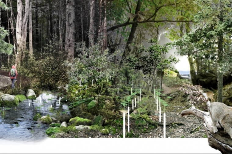 Rendering of project in New Jersey's Passaic Forest