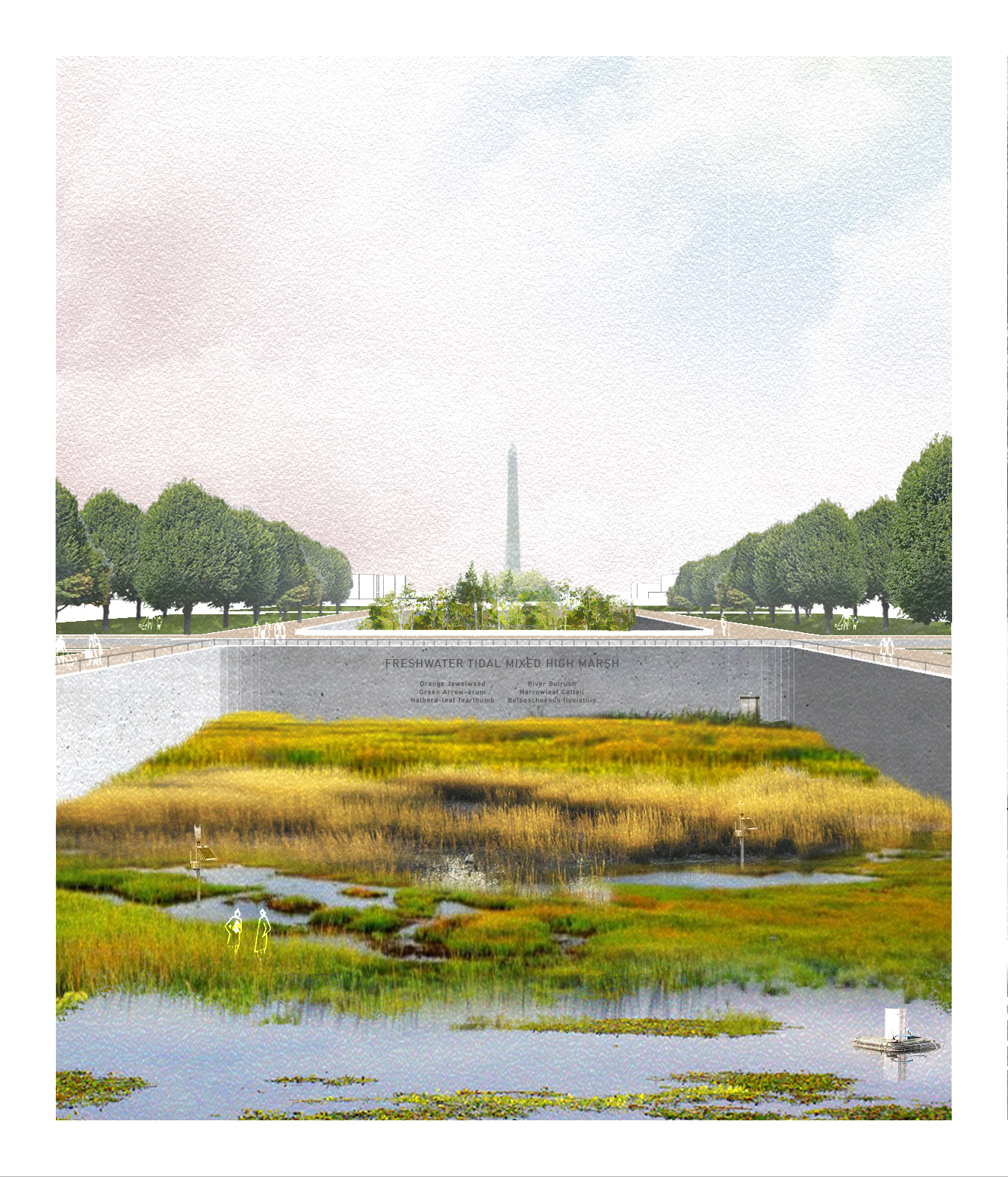 Rendering of proposed intervention in front of Washington Monument