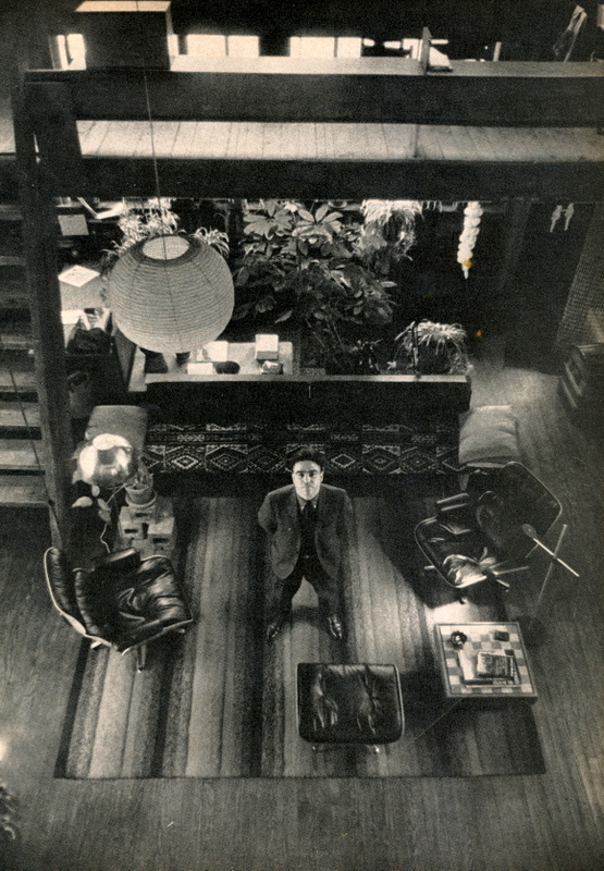 Man in living room looking up at camera