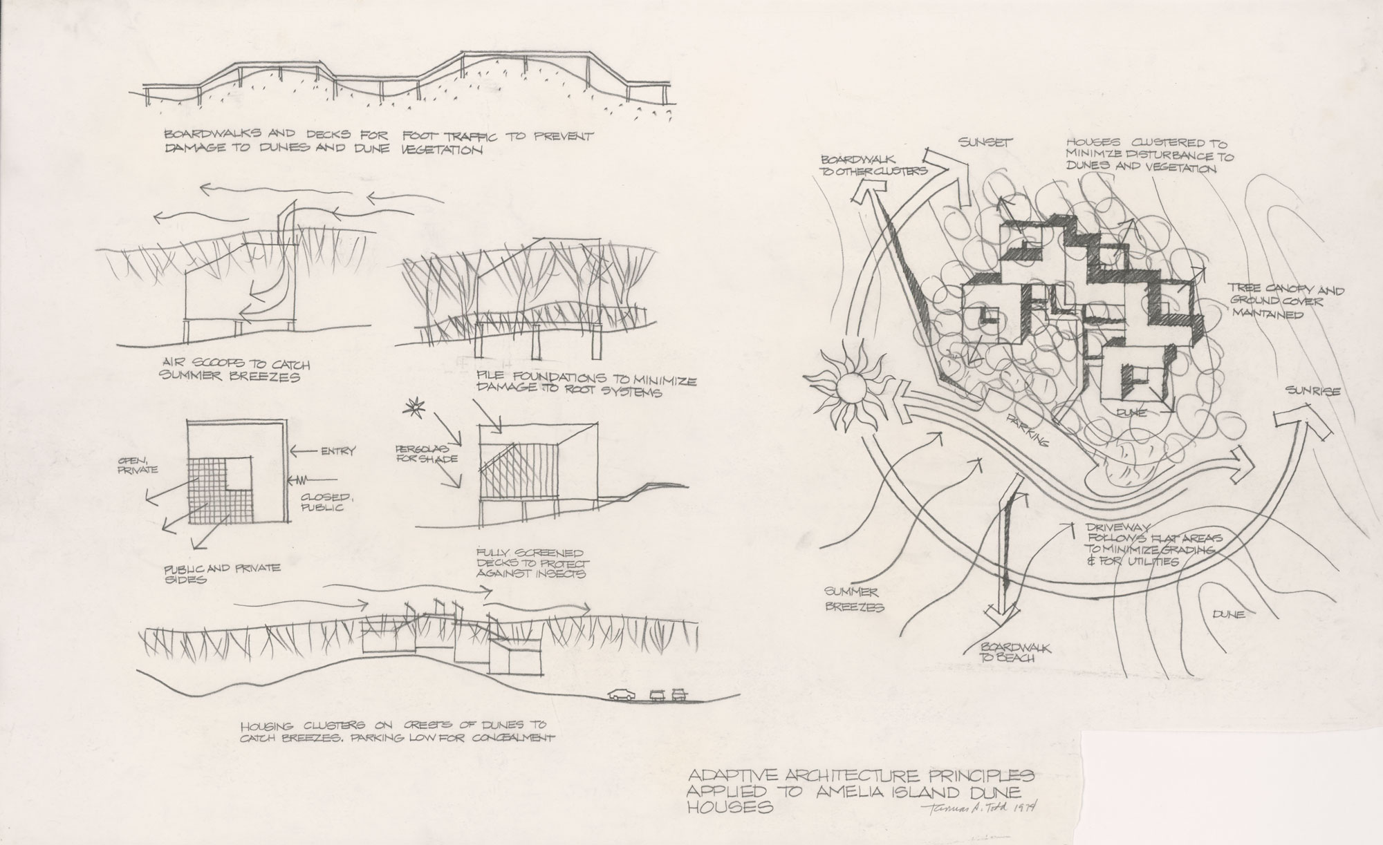 Sketch and grphs for Amelia Island Florida project