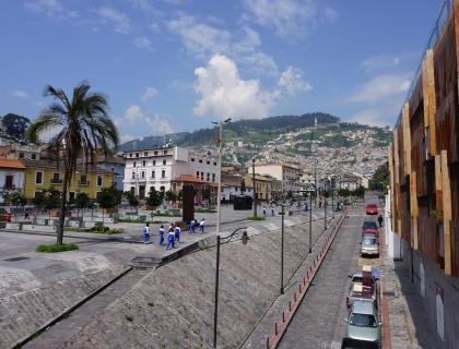 hilly urban landscape with palm tree