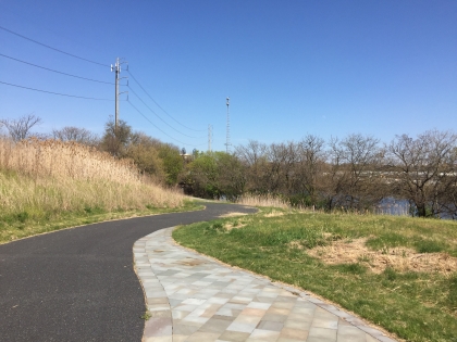 Section of trail with river and trees in background.