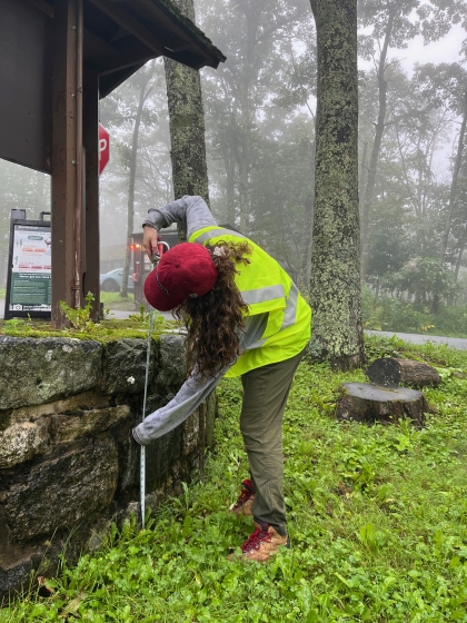 Jane Nasta measures a retaining wall at Lewis Mountain Campground.