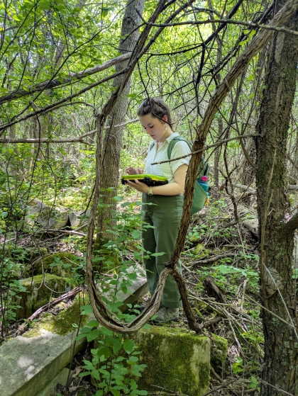 On site investigation 