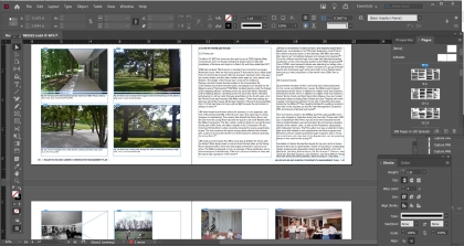 screenshots of InDesign workspace to show the size of the plan