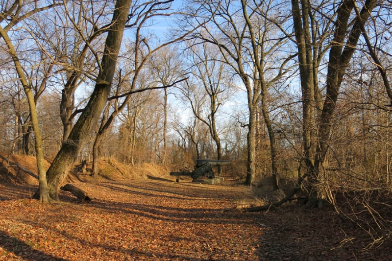 Woodland area.