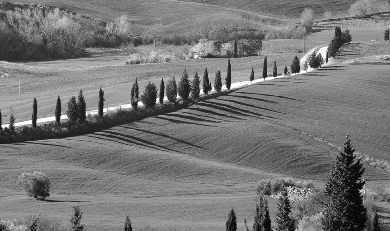 Black and white photo of Italian countryside.