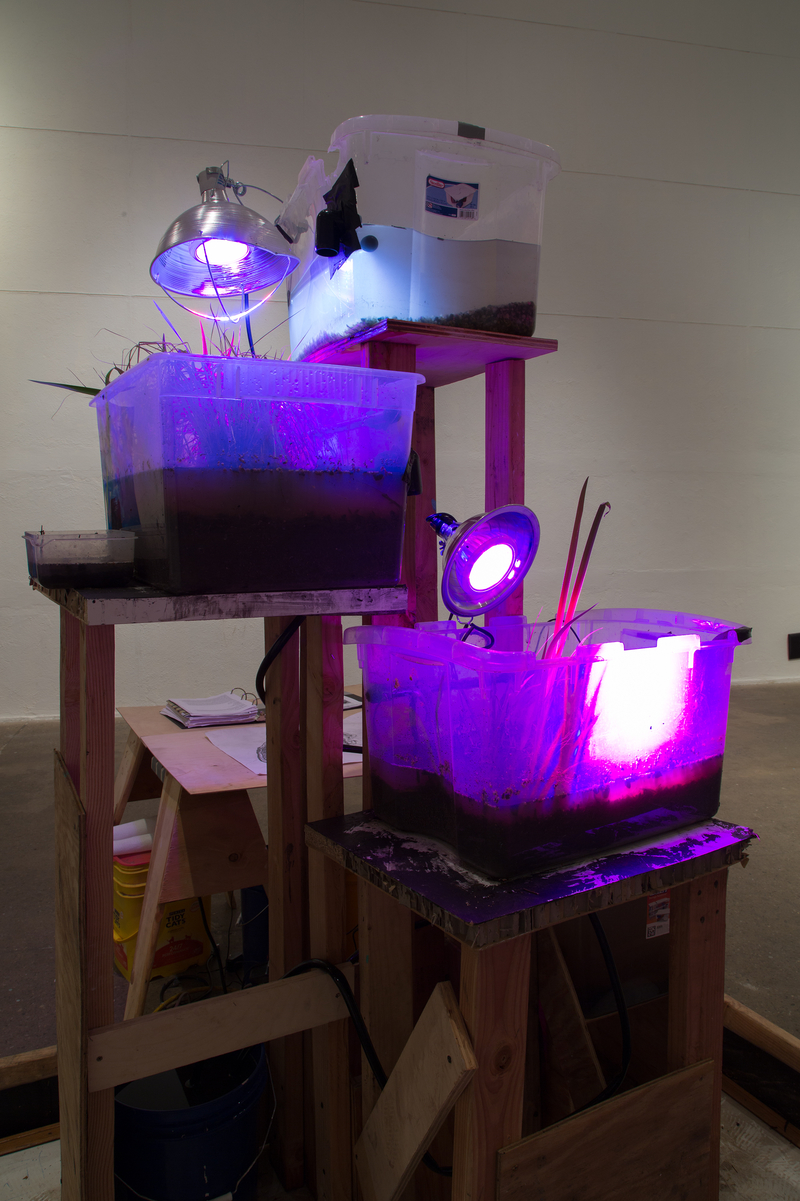 Graduate Fine Arts | Weitzman School