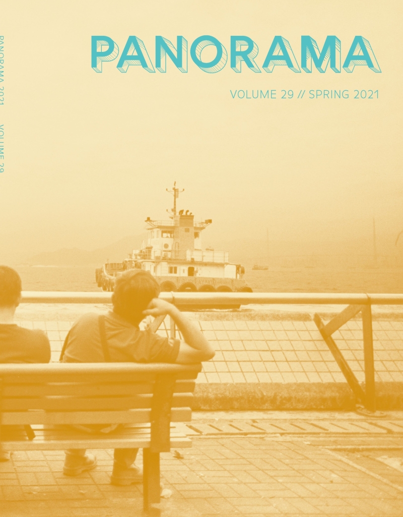 cover of Panorama journal