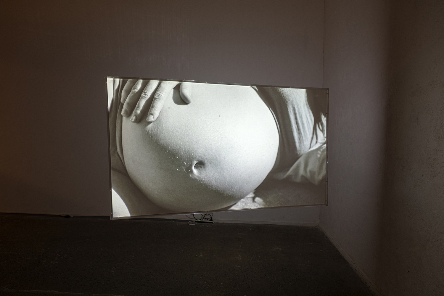 Projected image of B/W Photo of pregnant belly