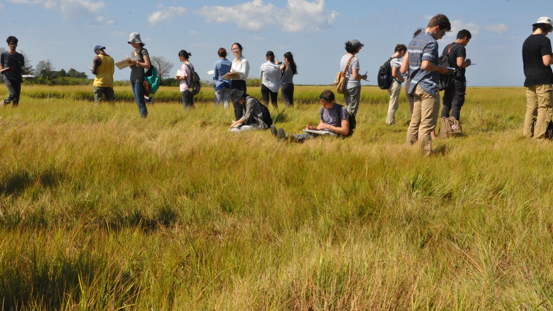 Young people making observations in a grassy prairie