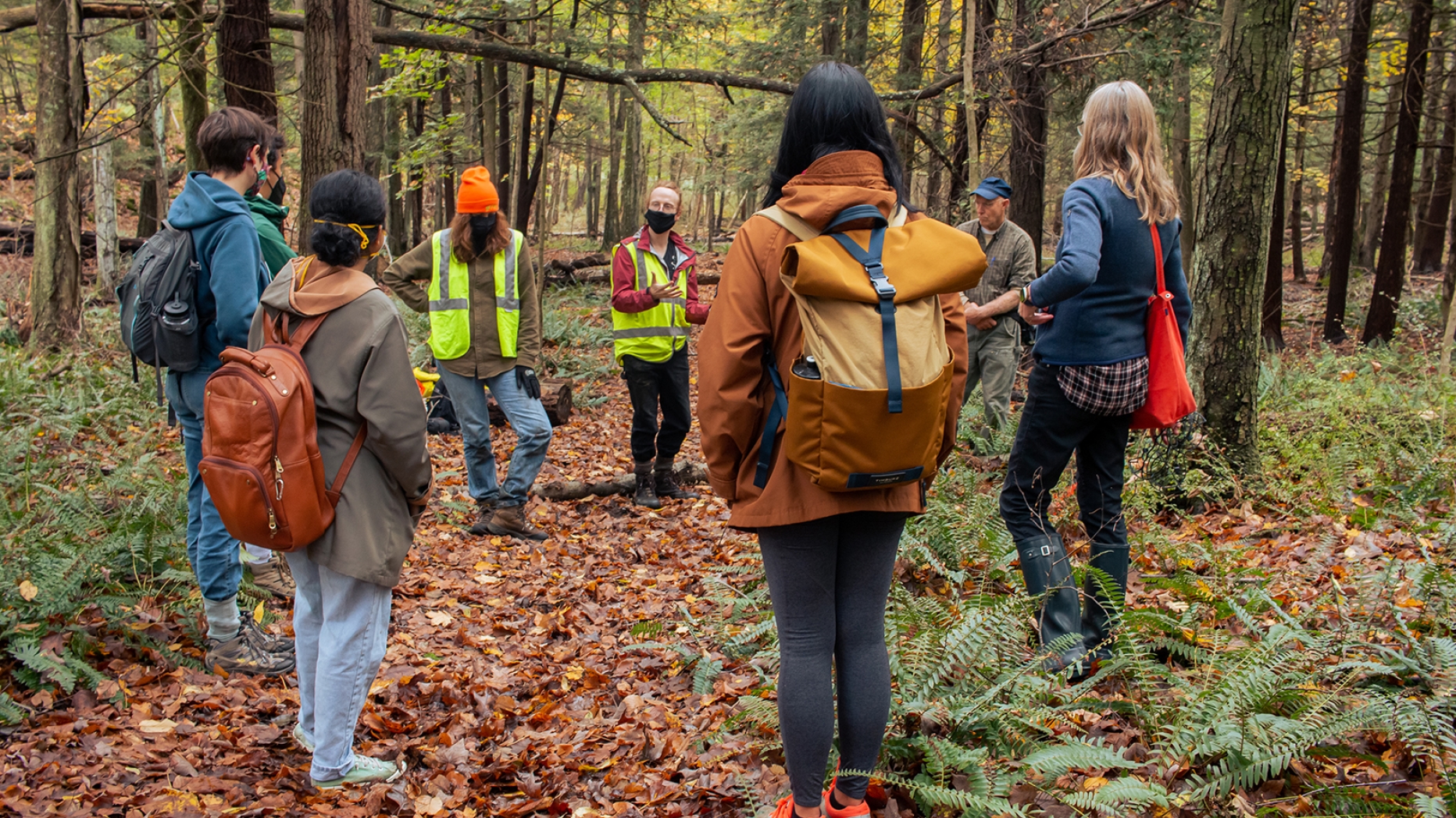 A group of people standing in a circle in the woods