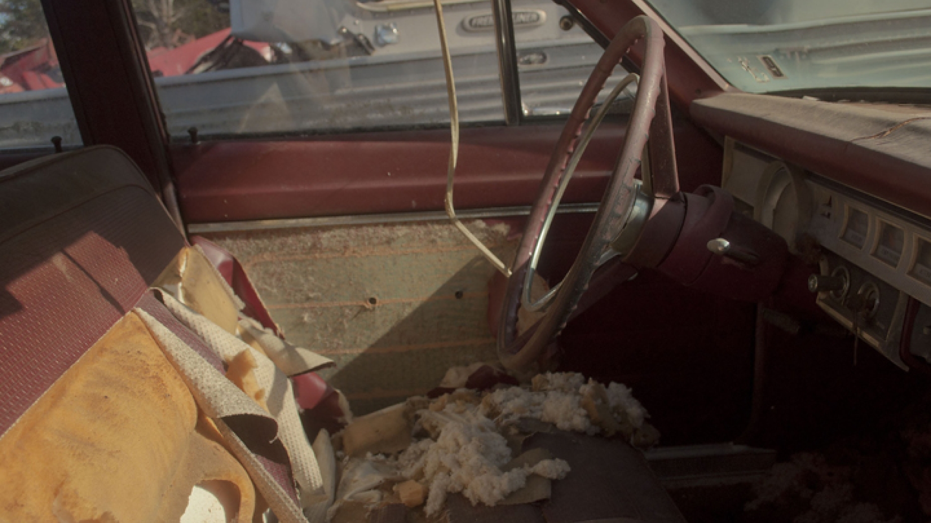 Photograph of the inside of a car. The lighting is warm but the seats of the car have been torn up and are in disrepair.