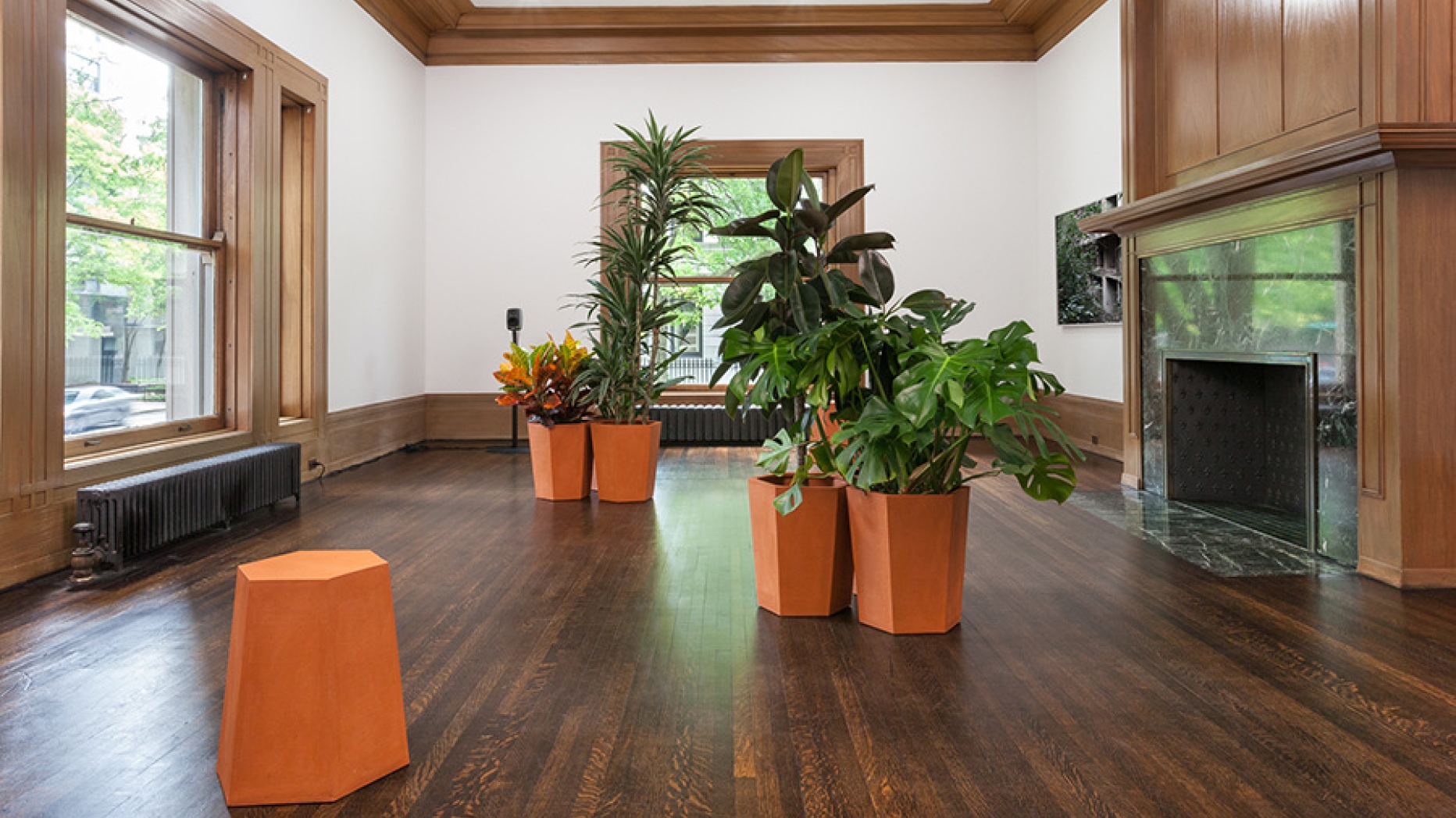 Art installation featuring tropical plants