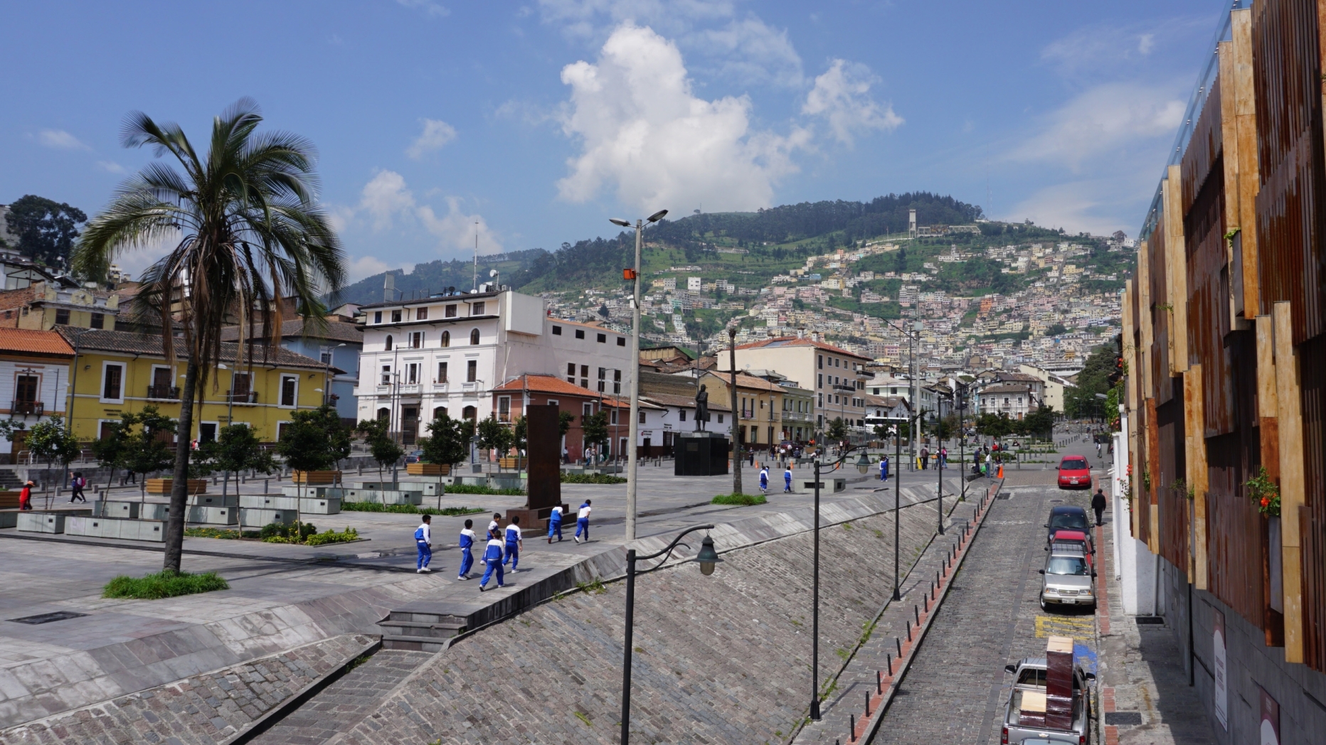 hilly urban landscape with palm tree