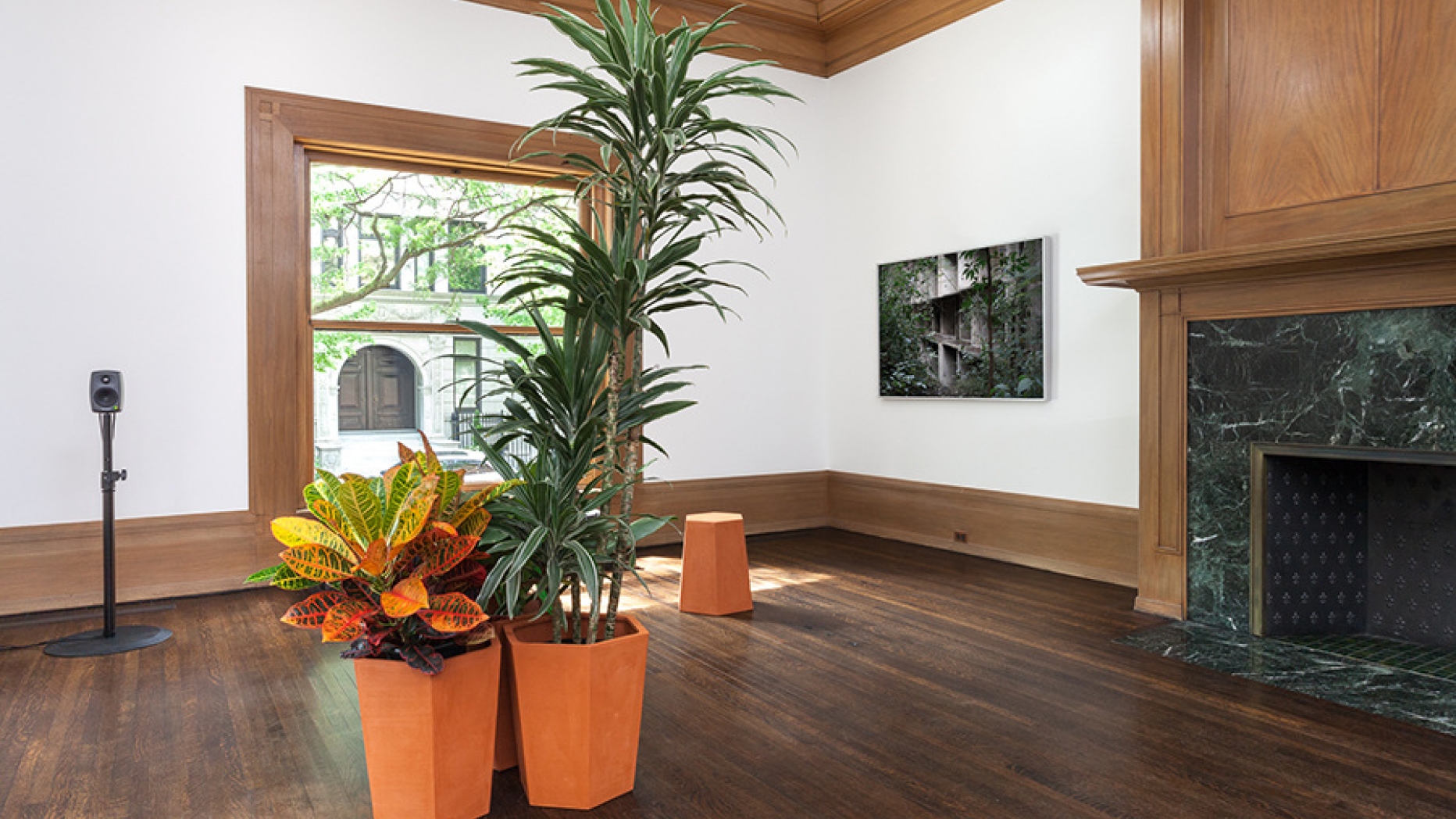 Art installation featuring tropical plants