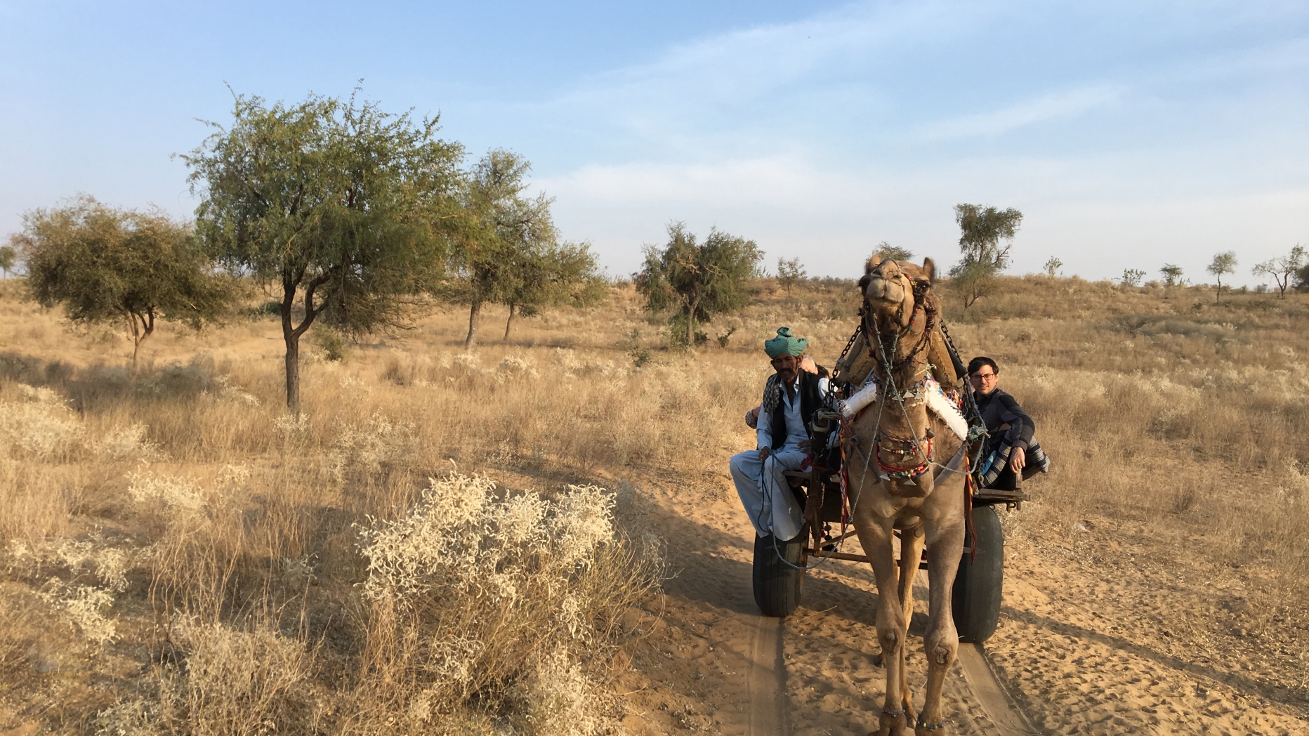 Camel towing people behind