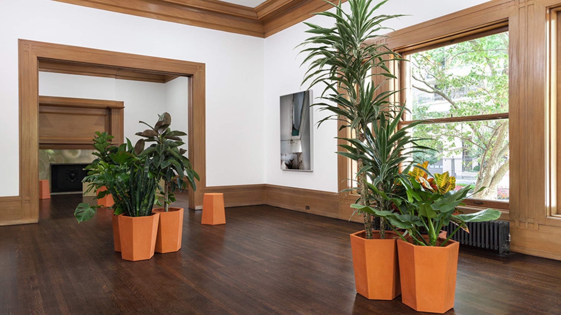 Art installation featuring tropical plants