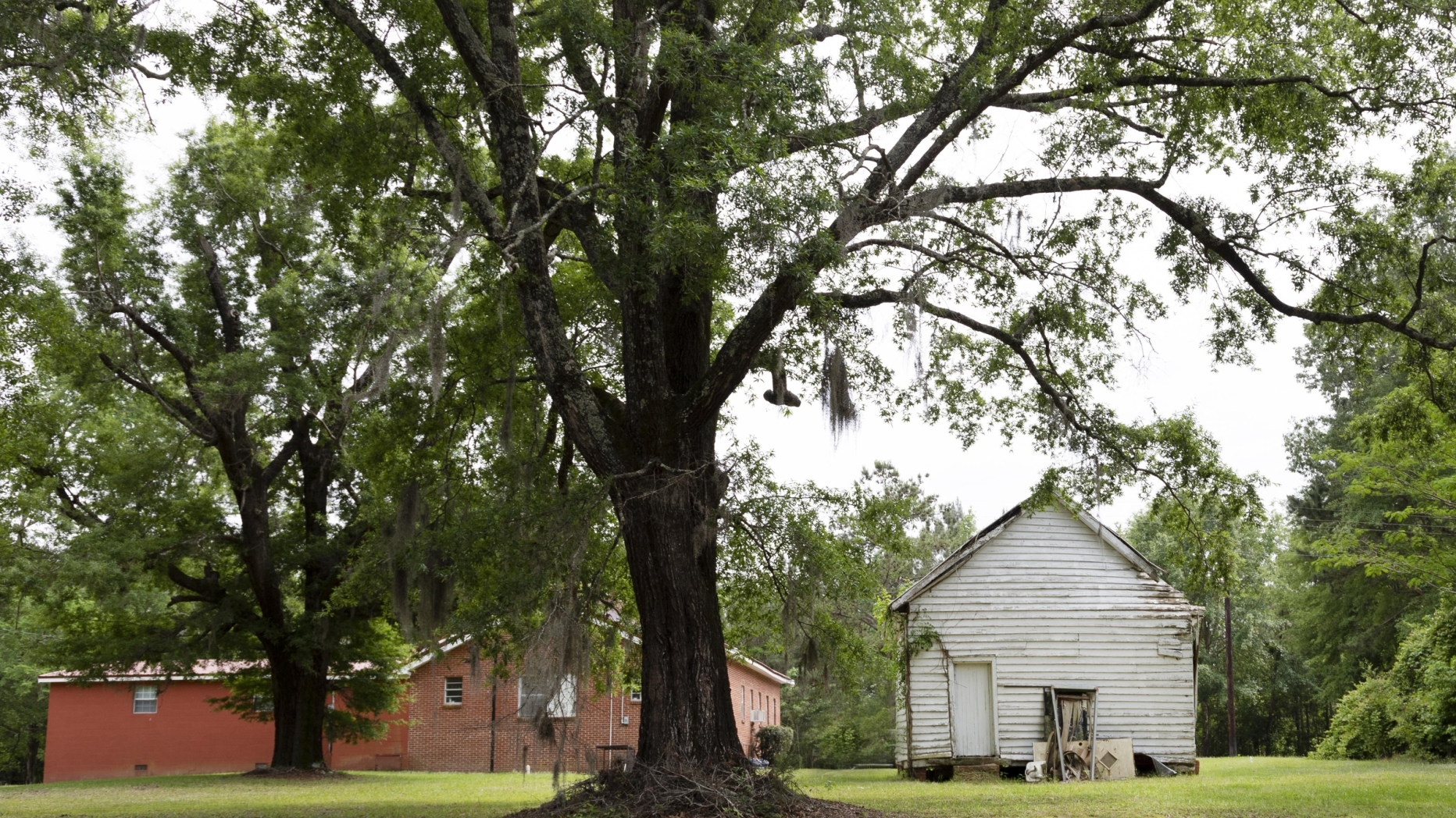 brick church, large tree and white wooden school house