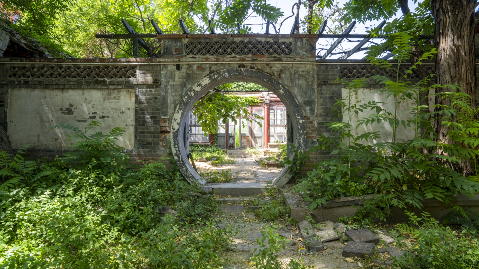 A View of a Traditional Beijing Courtyard House in disrepair