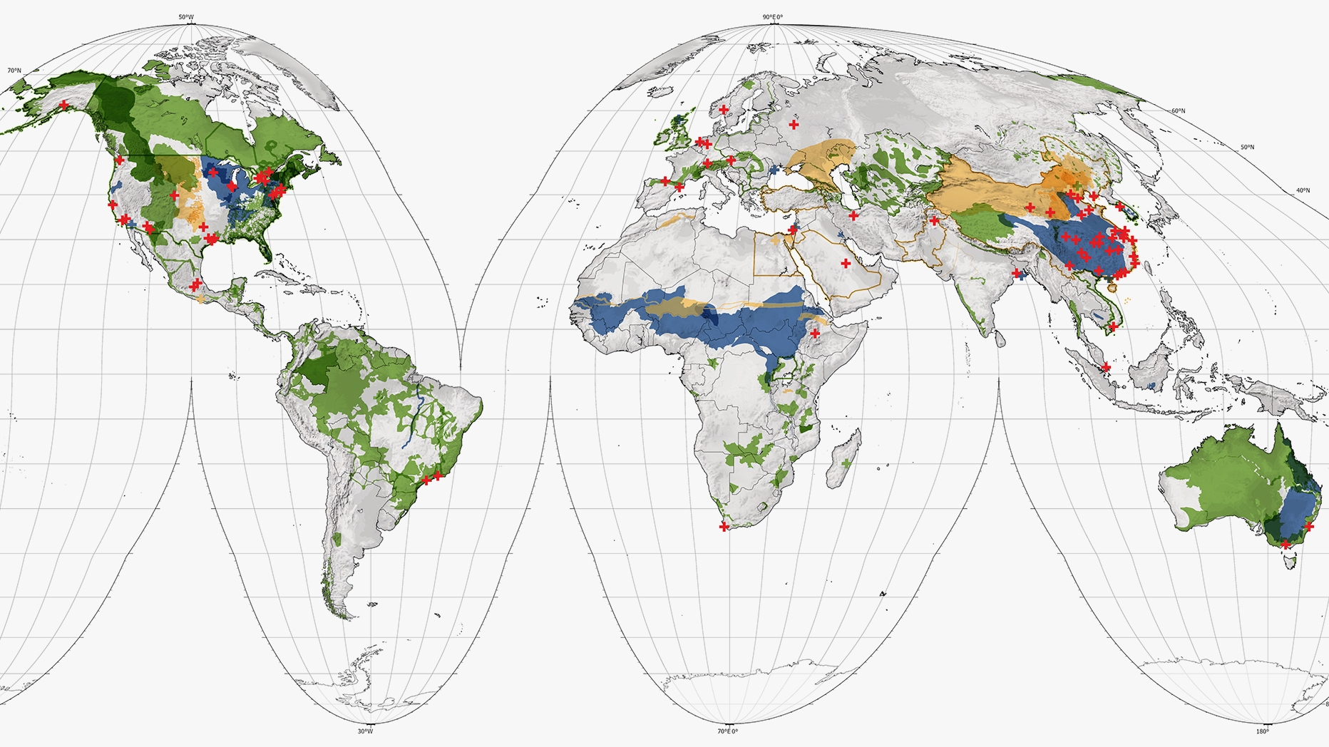 Map of the world showing large-scale regional ecological systems