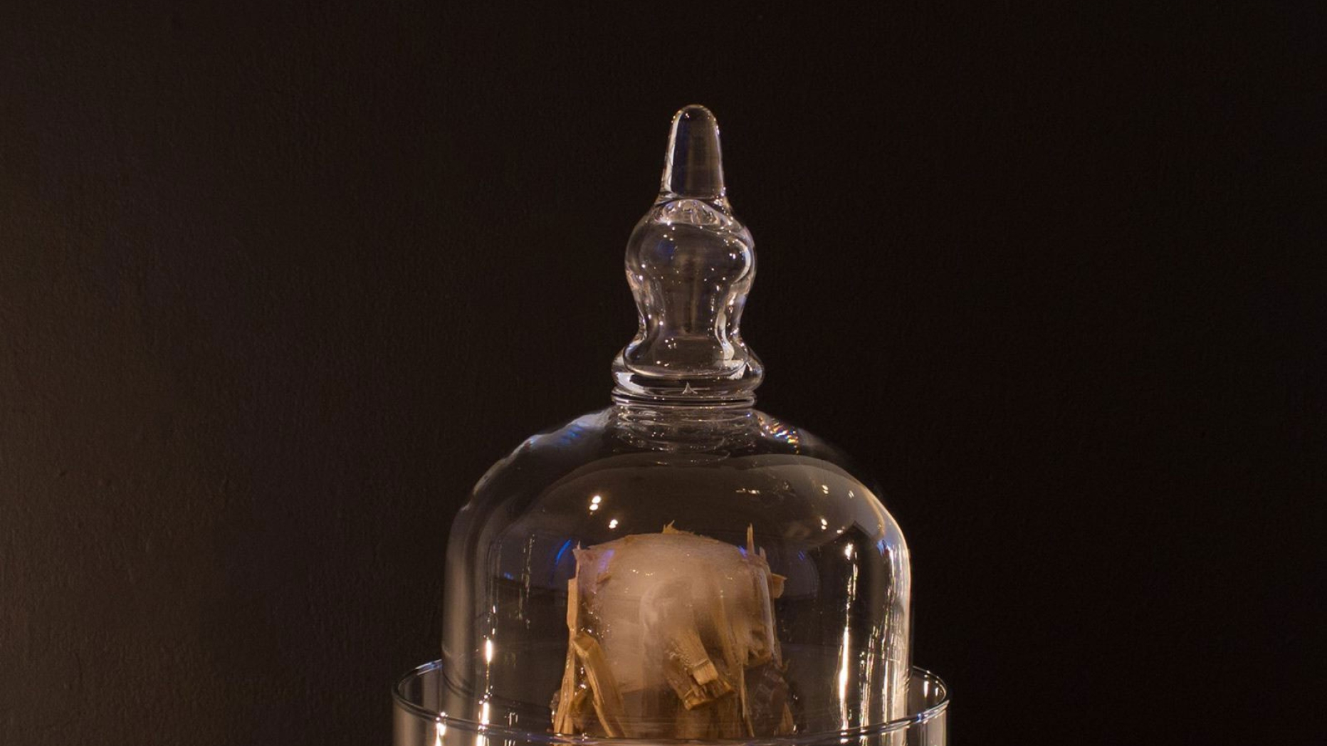 Various materials inside a bell jar.