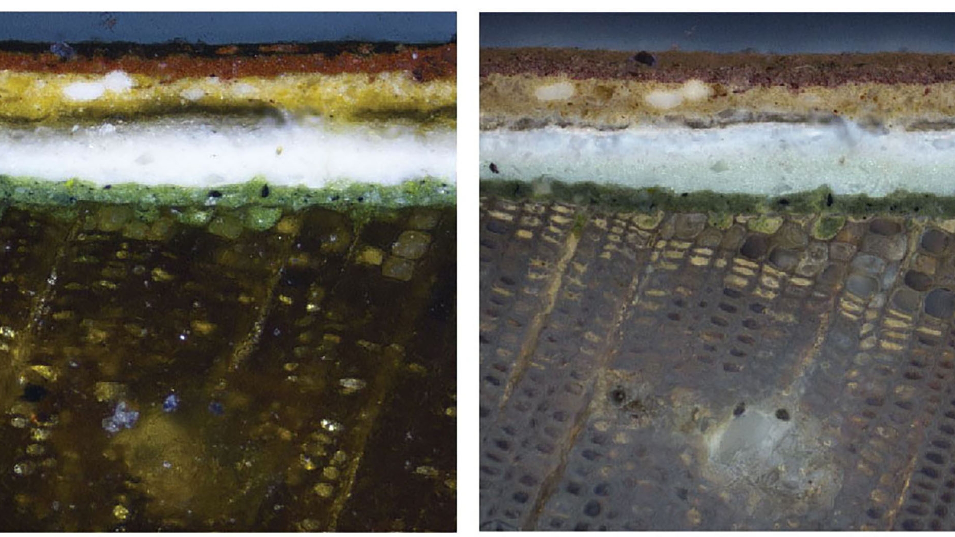 Cross-section in 200x magnification in visible light (left) and UV light (right) from the Bray School containing the earliest gr