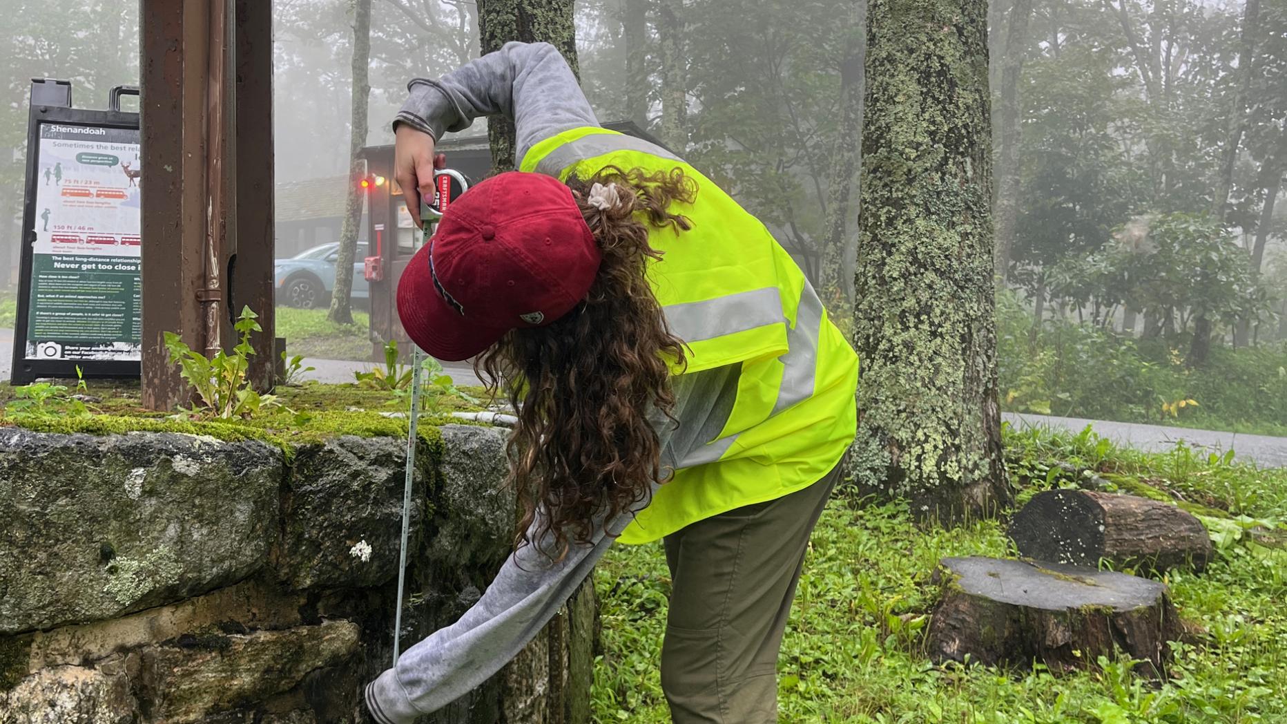 Jane Nasta measures a retaining wall at Lewis Mountain Campground.