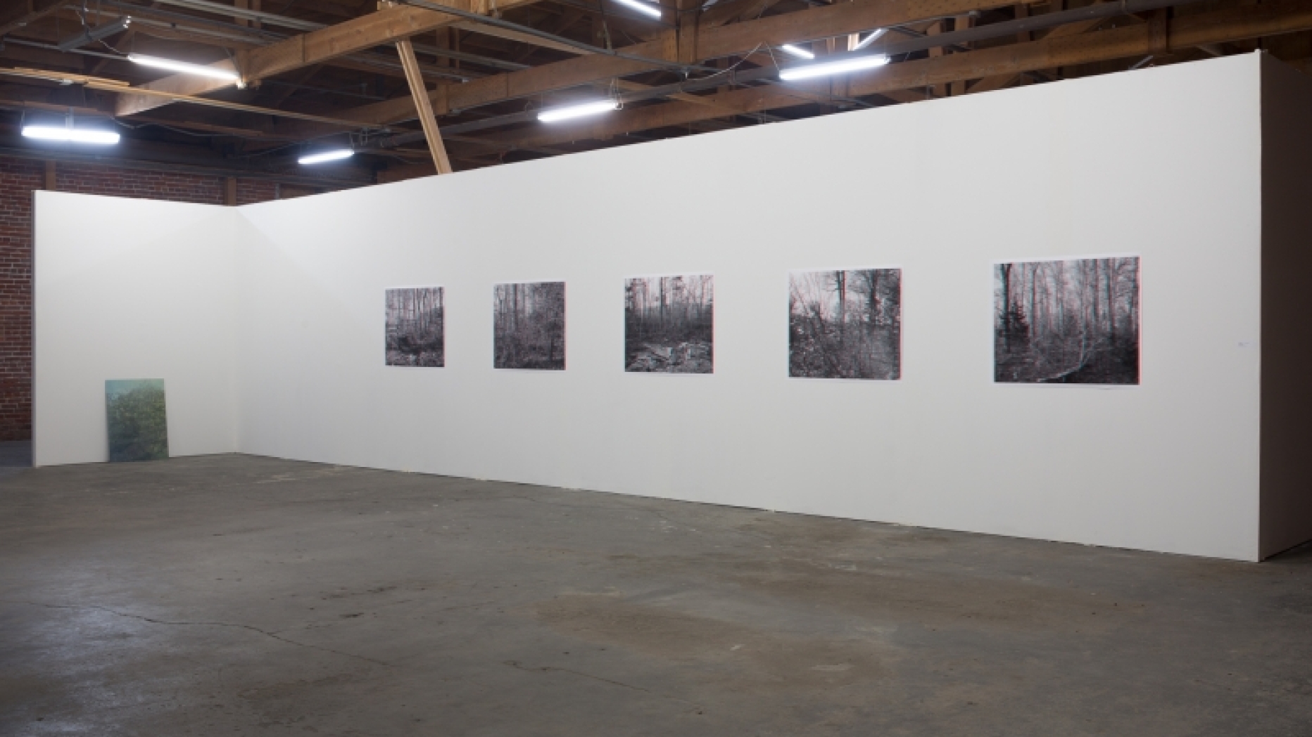 Several photographs on the wall of a gallery.