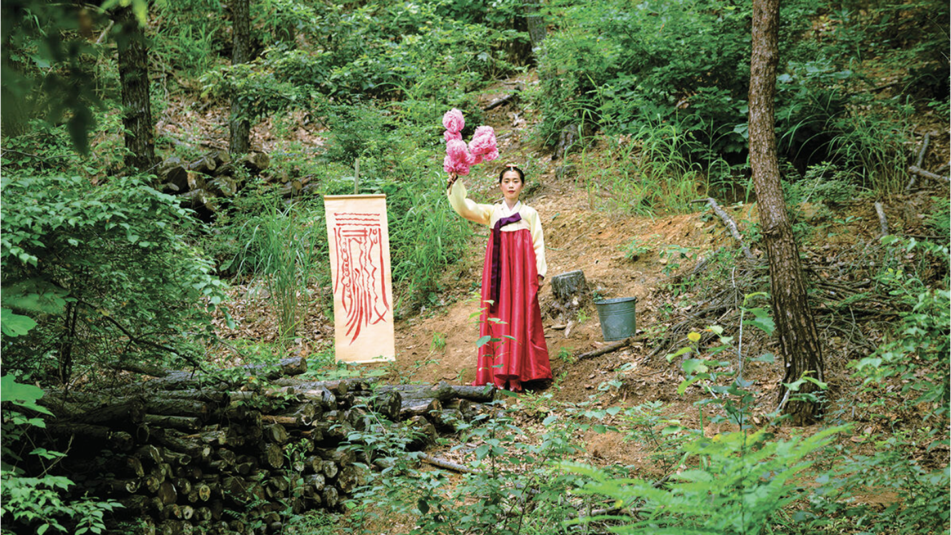 Park Chan-kyong, still from Citizen's Forest, 2016.