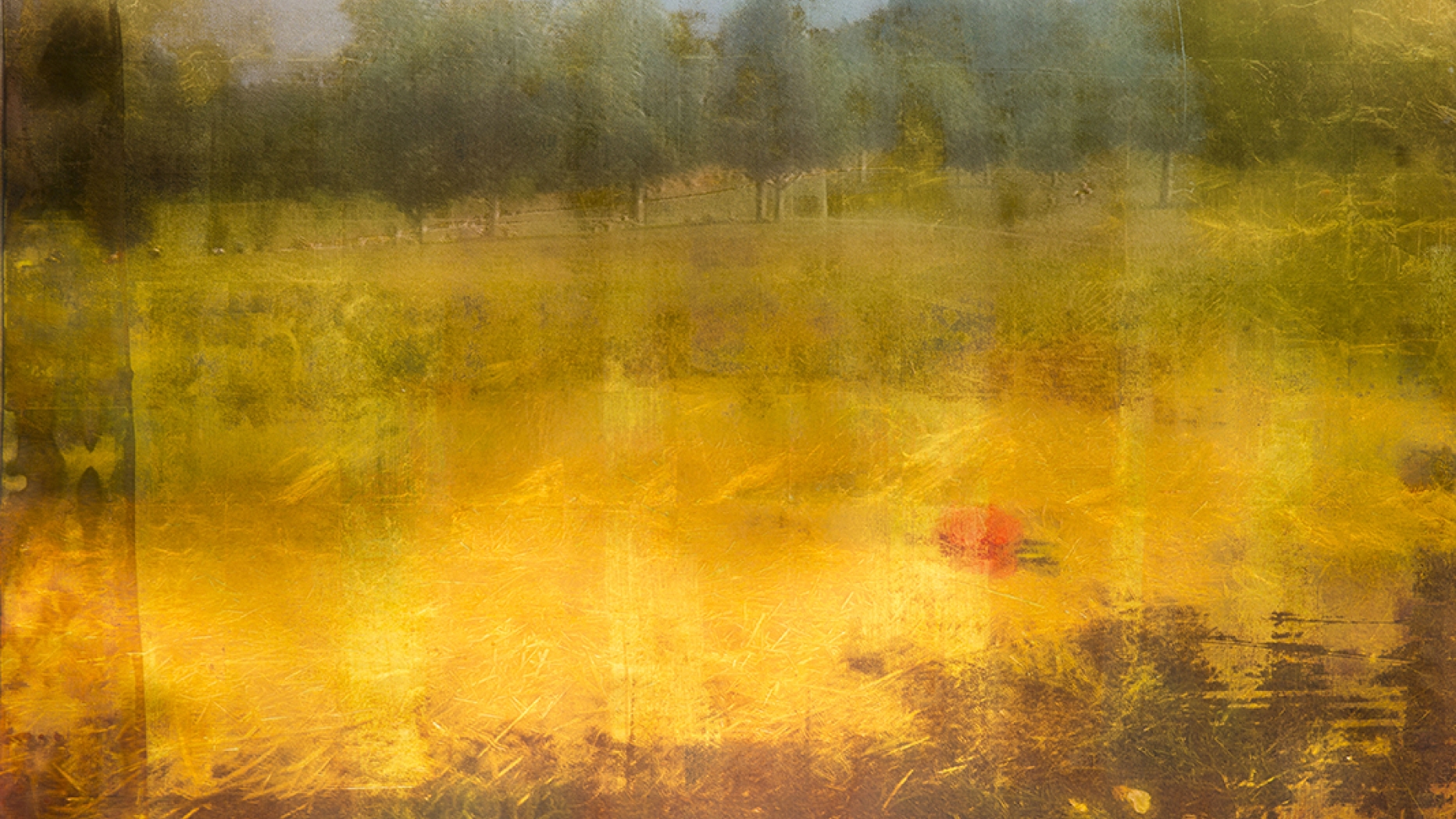 Garden of Faith (Summer Fever)