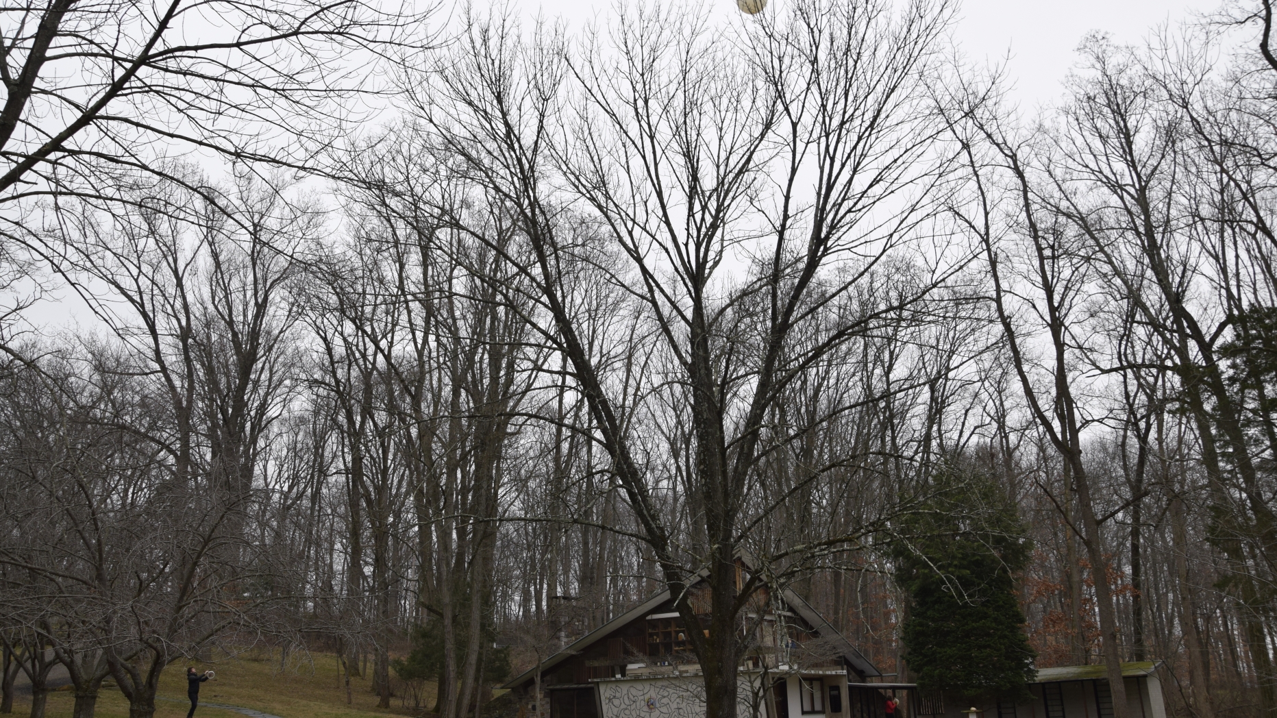 Drone taking photos of Nakashima site from above.