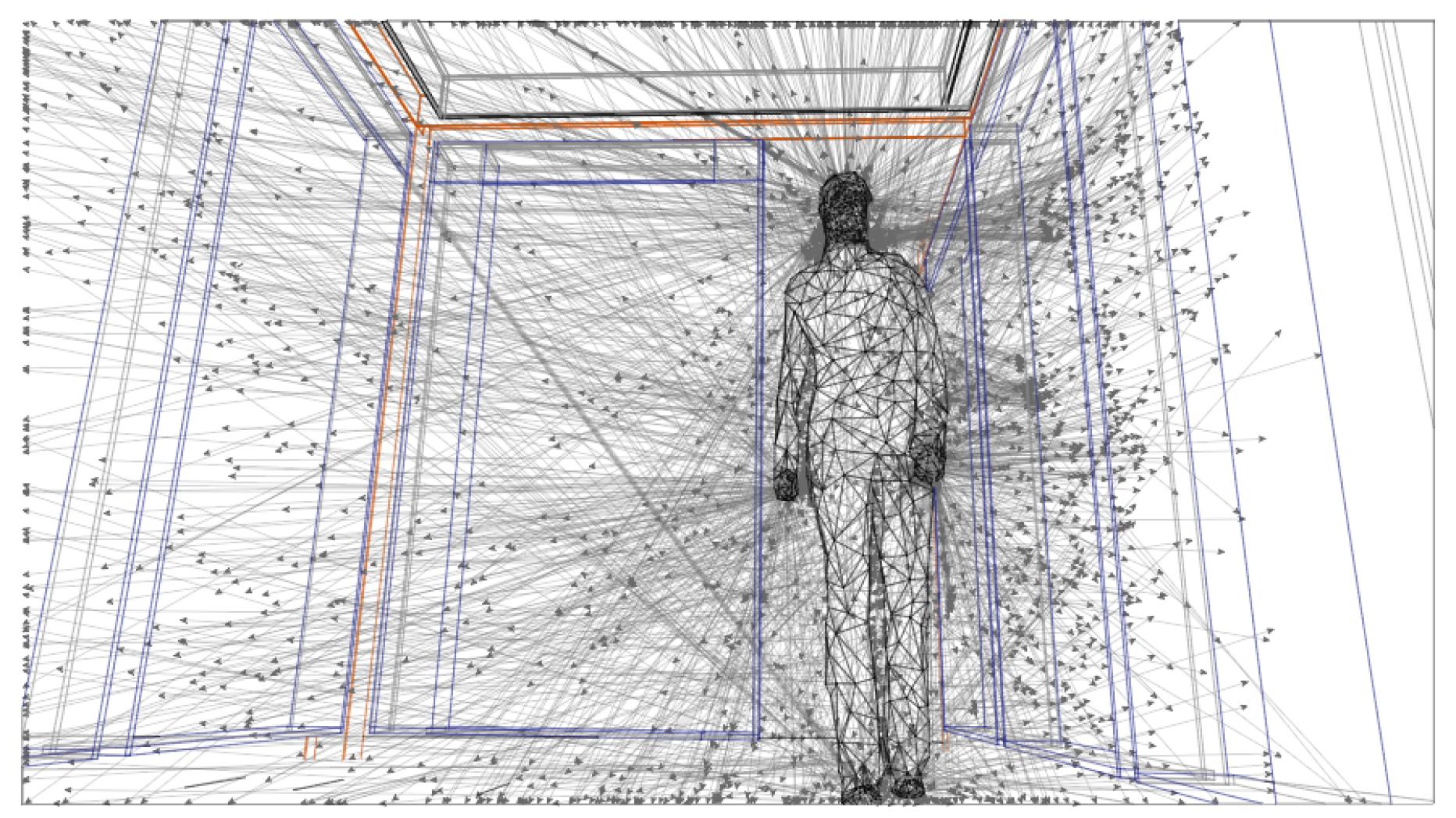 simulation screenshot showing radiation vectors emitted from a human 3D mesh