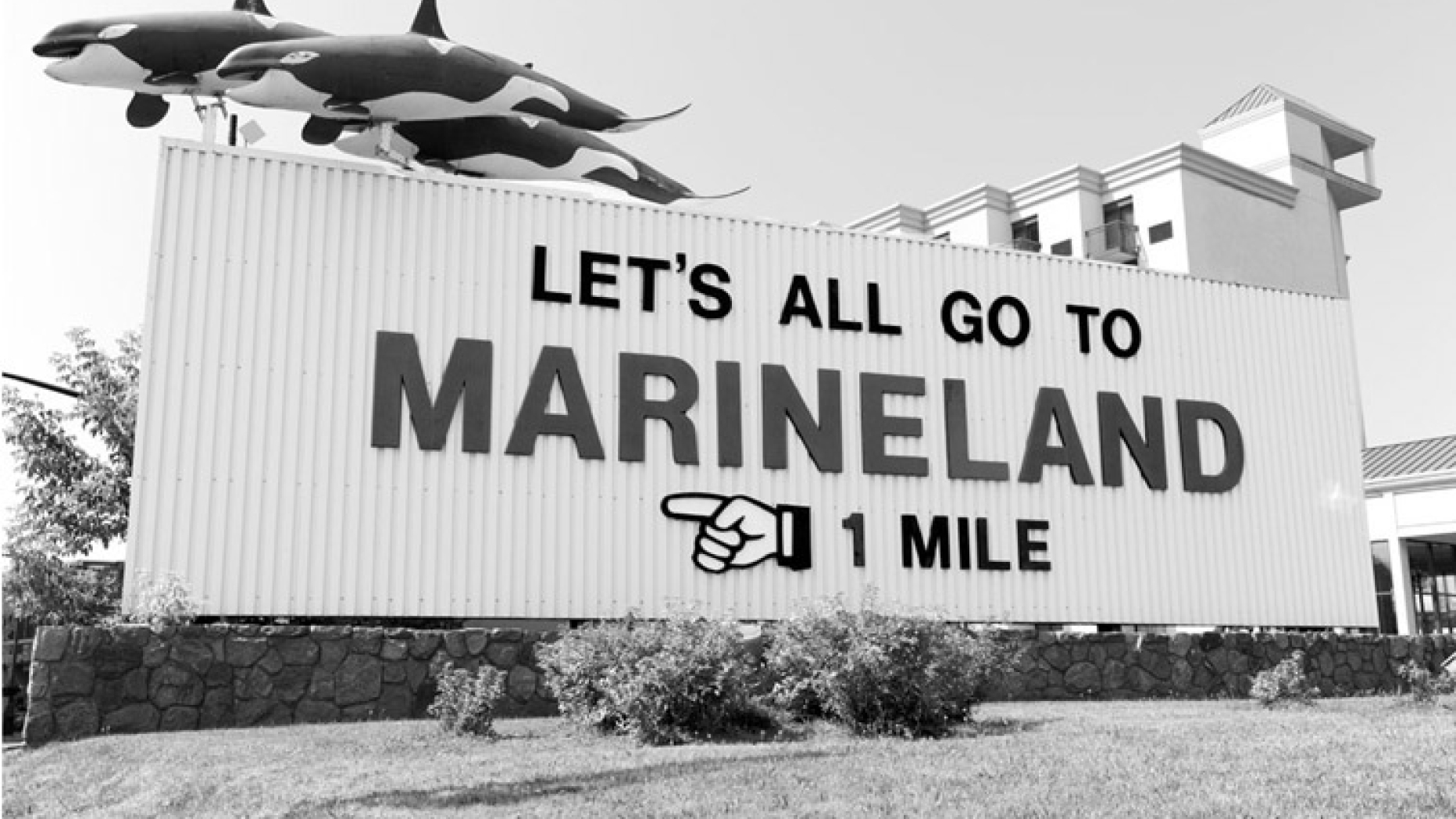 Sign saying 'Lets all fo to Marineland'