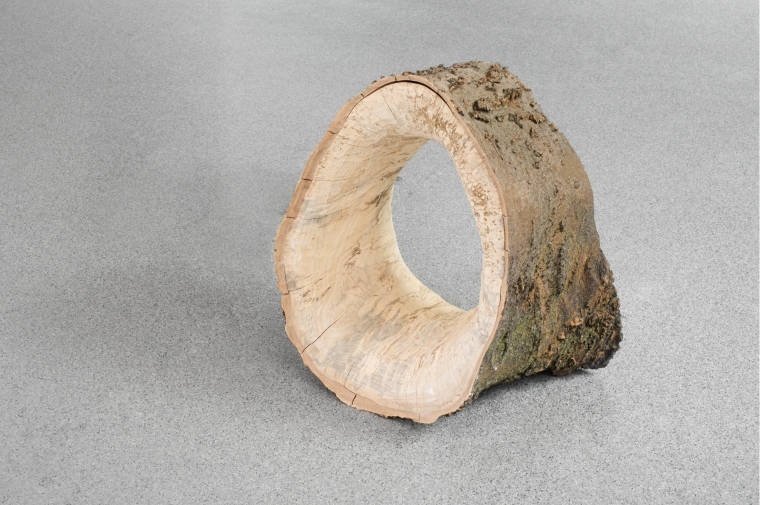 Photograph of sculpture by Victoria Megan's showing a section of tree trunk with a hole carved through the center