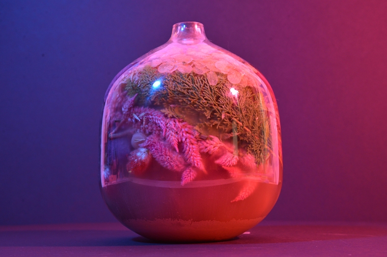 Piece featuring plants parts in a glass bottle