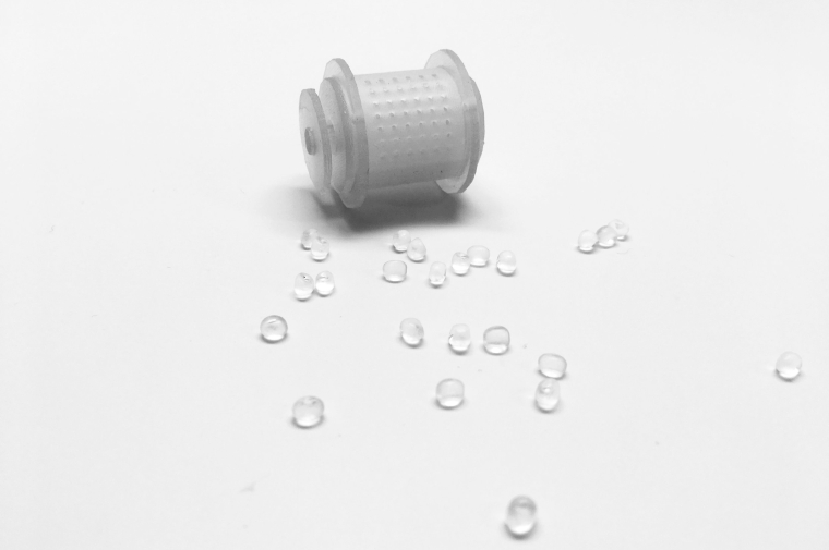 A small capsule surrounded by scattered bead-like forms