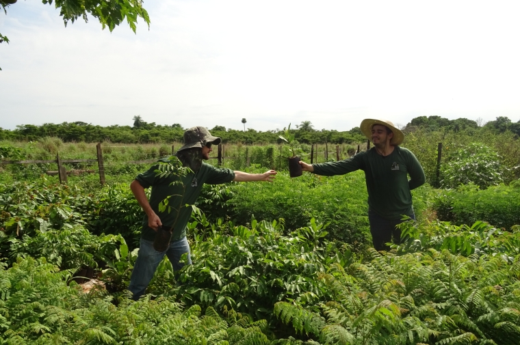 Two men standing in green landscape