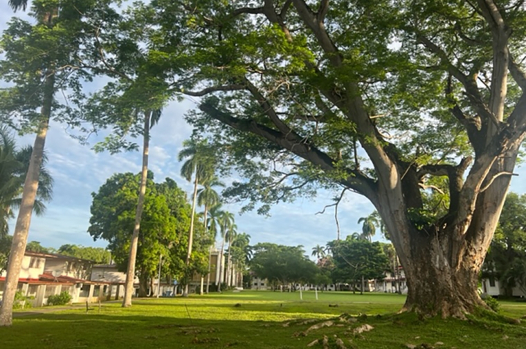 Former military base