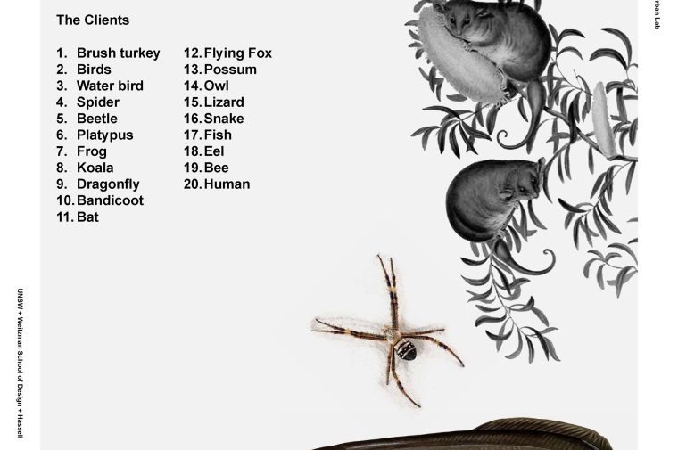 List of 20 animals with images of an eel, possum, and spider