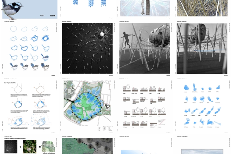 Grid of renderings by student