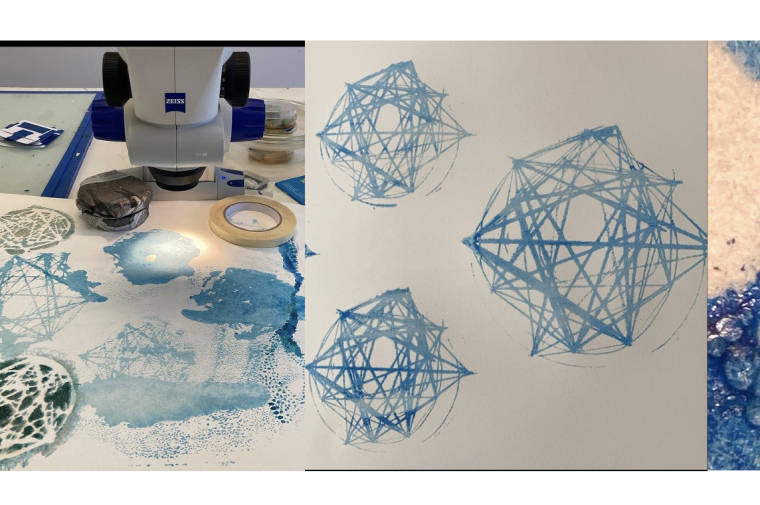 a series of images depicting Alison in her studio using silkscreen to draw in collaboration with the biomineralizing bacteria S.