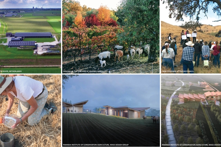 Composite of six photographs showing farms, farm workers, and farm animals