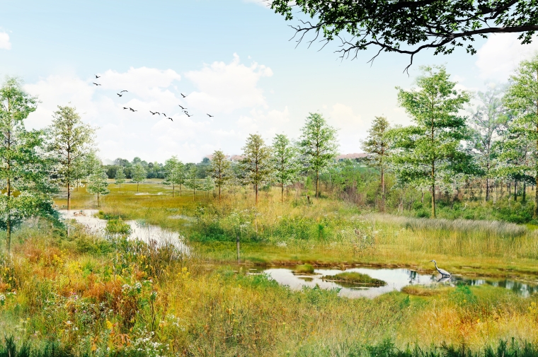 Low grasses and a crane abut a shallow waterway with trees in distance