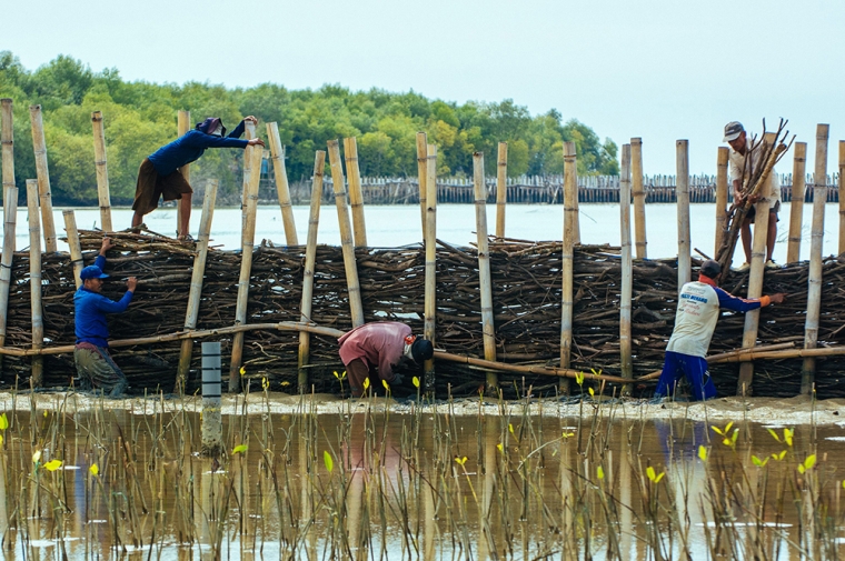 Five men constructing a wall-like structure in water out of bamboo and other natural materials