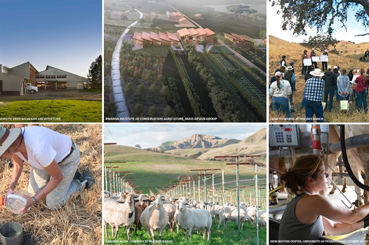 Composite of six photos showing farms, farm workers, and farm animals