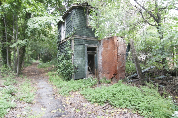 The paths, which follow the historic streets, are periodically unearthed by NYC Parks. Metal curbs, lamp posts, and fire hydrants all show the history of the island, but are overgrown by the ecology. Photo by Andrea Haley.